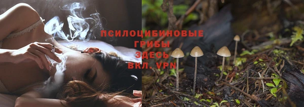 а пвп мука Абаза